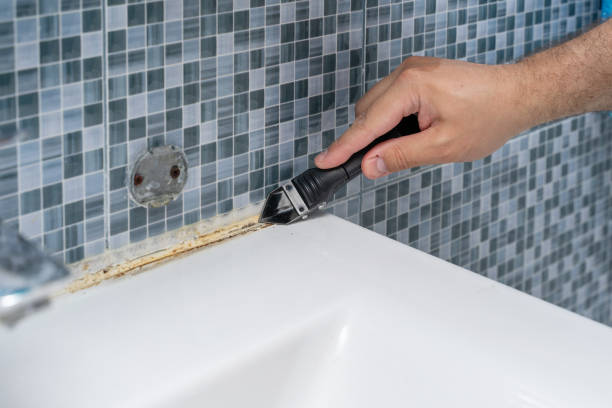 Best Office Mold Removal Services  in Fort Llins, CO